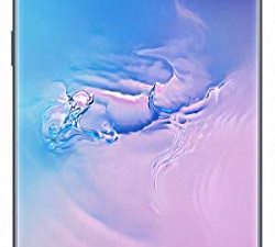 Samsung Galaxy S10 (SM-G973F/DS) 128 Go 8