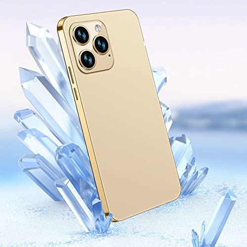 téléphone à