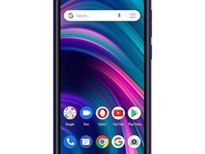BLEU C5L Max | 2022 | Batterie