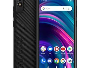 BLEU C5L Max | 2022 | Batterie