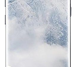 Téléphone débloqué Samsung G955F Galaxy S8+ 64