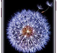 Samsung Galaxy S9 G960U 64 Go AT&T
