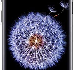 Téléphone Samsung Galaxy S9 G960U 64 Go
