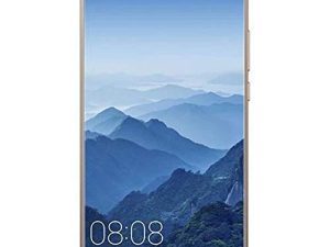 Huawei Mate 10 ALP-L29 64 Go Marron