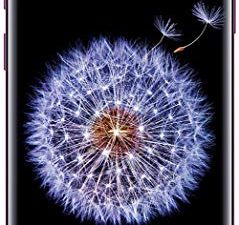 Samsung Galaxy S9+