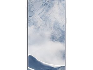 Samsung Galaxy S8+ G955U 64 Go GSM