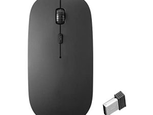 Souris sans fil
