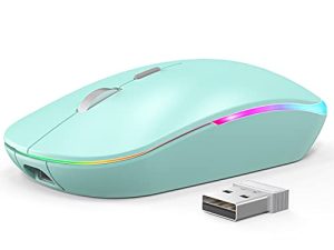 Souris sans fil RGB WisFox 2