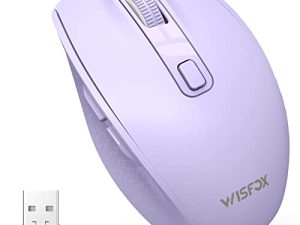 Souris Bluetooth WisFox