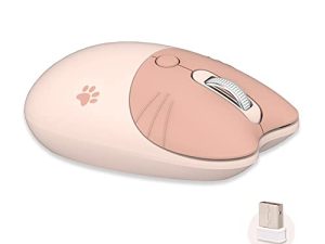 Souris sans fil mignonne
