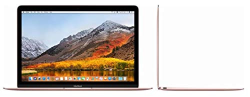Apple MacBook 12 pouces Retina 2017 (version-2