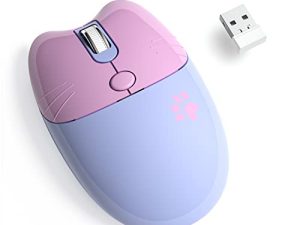 Souris sans fil Meidosa