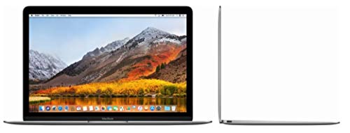 Apple MacBook 12 pouces Retina 2017 (version-2