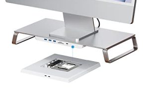 Hagibis Hub USB-C avec boîtier double disque