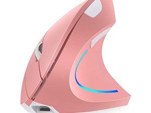 Souris verticale