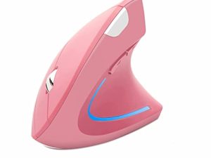 Souris Verticale