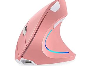 Souris verticale