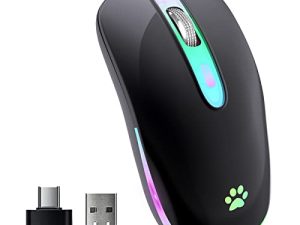 Souris sans fil FUWANG