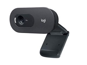 Webcam Logitech C505 HD - Caméra USB