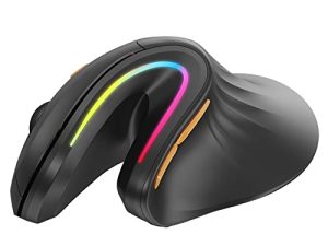 Souris Ergonomique Sans Fil