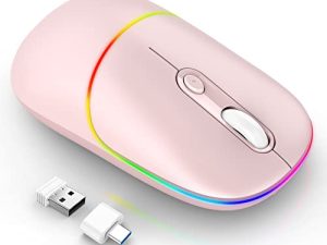 Souris sans fil LED RAPIQUE