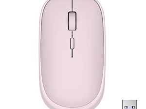 Souris sans fil