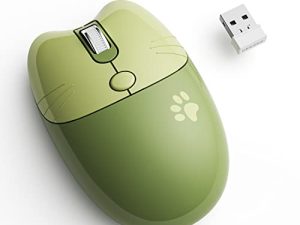 KNOWSQT Souris Sans Fil Menthe