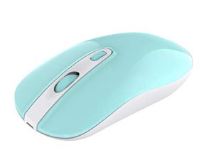 Souris silencieuse sans fil