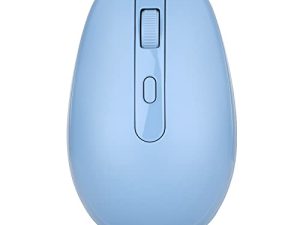 Souris sans fil Rii RM700 2.4G silencieuse