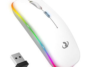 Souris sans fil