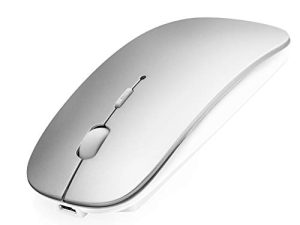 Souris Bluetooth pour ordinateur portable/iPad/iPhone/Mac (iOS 13.1.2