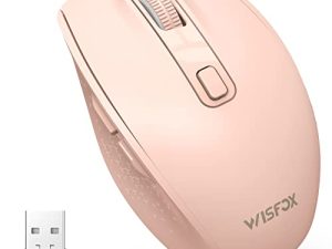 Souris Bluetooth WisFox