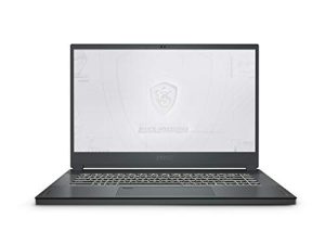 Station de travail mobile MSI WS66 10TKT-080
