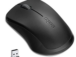Rapoo Souris sans fil