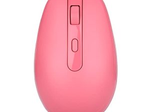 Souris sans fil Rii RM700 2.4G Souris