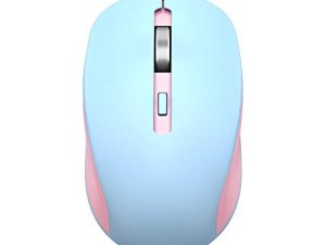 Souris sans fil Bluetooth