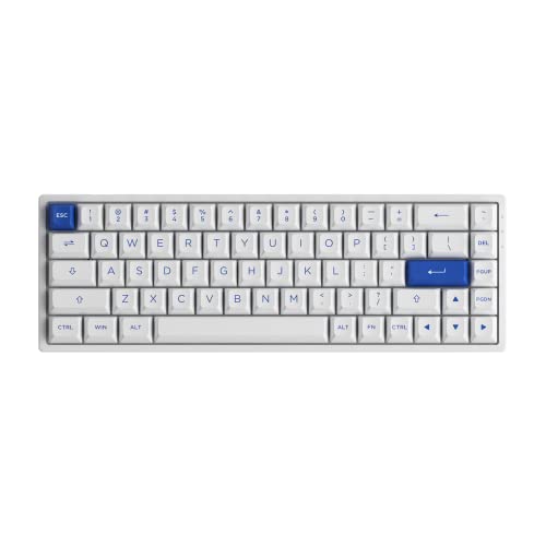 EPOMAKER AKKO 3068B Plus Bleu Blanc 65%-2