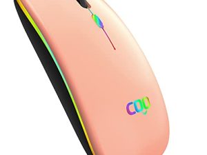 Souris sans fil COO