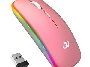 Souris sans fil