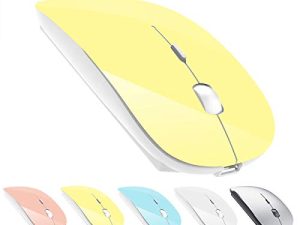 Souris Bluetooth sans fil rechargeable pour MacBook