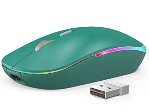 Souris sans fil RGB WisFox 2