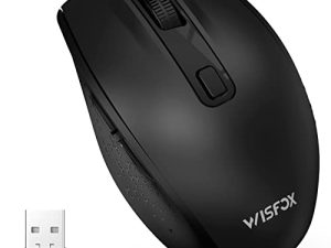 Souris Bluetooth WisFox