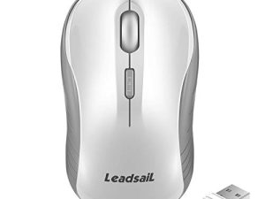 LeadsaiL Souris sans fil silencieuse 2