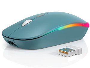 Souris sans fil RGB WisFox 2