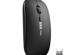 INPHIC Souris sans fil pour ordinateur portable