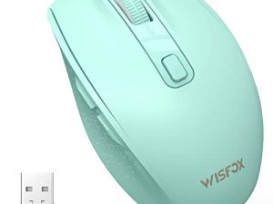 Souris Bluetooth WisFox