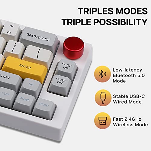 EPOMAKER TH66 Clavier Mécanique Filaire RGB 2.4Ghz/Bluetooth – Image 2