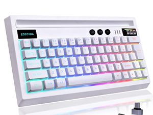 EQEOVGA L640 Clavier de jeu sans fil