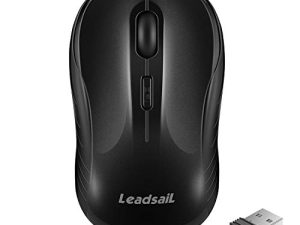 LeadsaiL Souris sans fil silencieuse 2