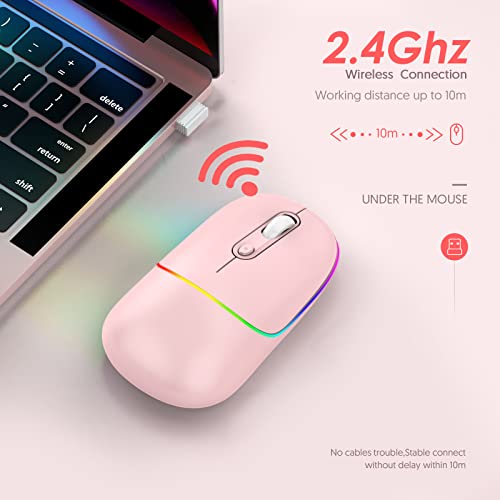 souris d'ordinateur